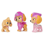 Paw Patrol Movie2 Figure Pack Skye