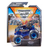 Hot Wheels Monster Jam 1:64 1 Pk Assorted