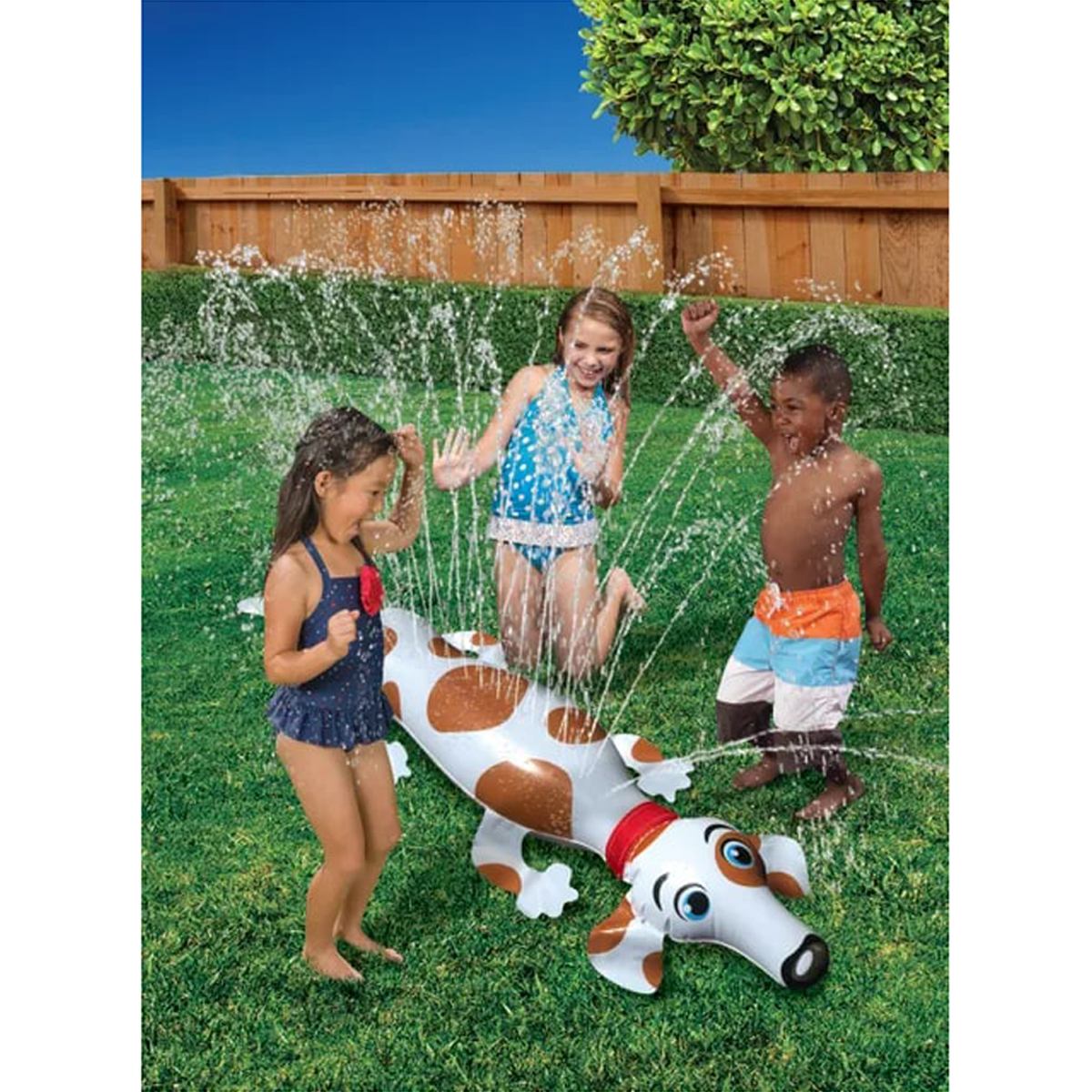 Puppy Backyard Critter