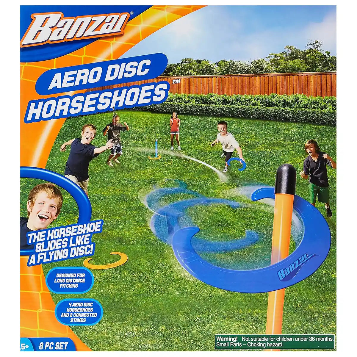 Aero Disc Horseshoes