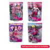Barbie Winter Sports Asst (4)