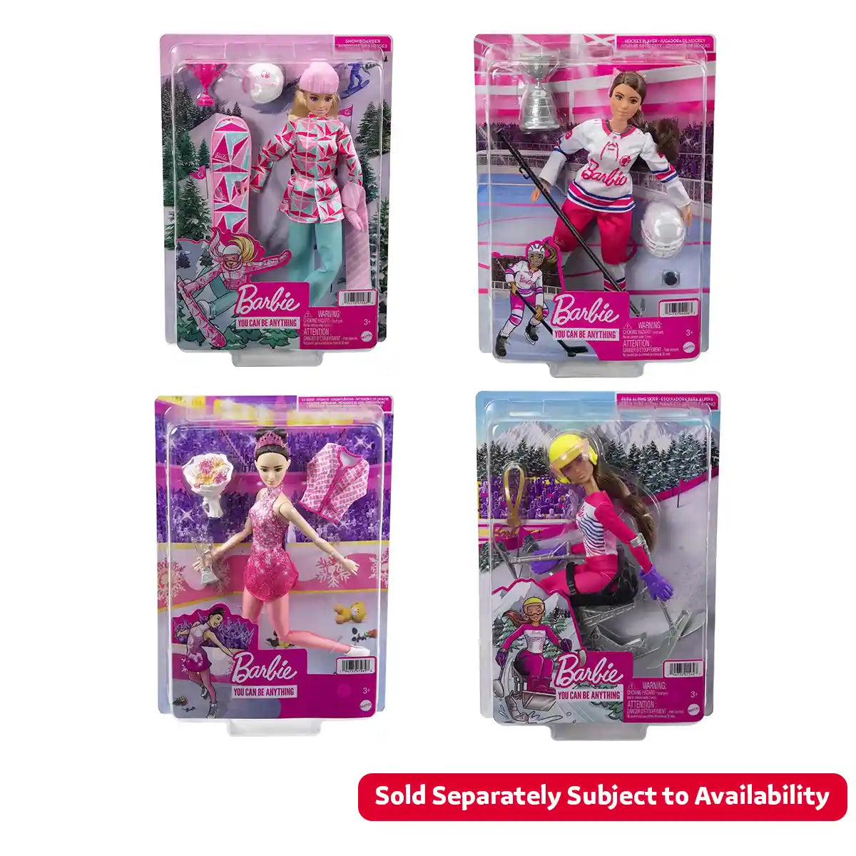 Barbie Winter Sports Asst (4)