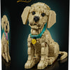 LEGO Icons 11384 Golden Retriever Puppy