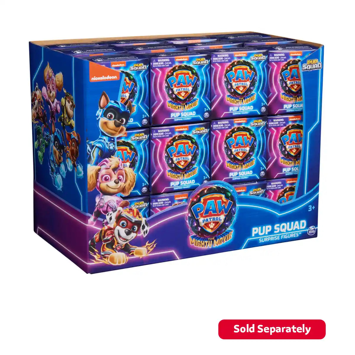Paw Patrol Movie2 Pup Squad Figs Asst.