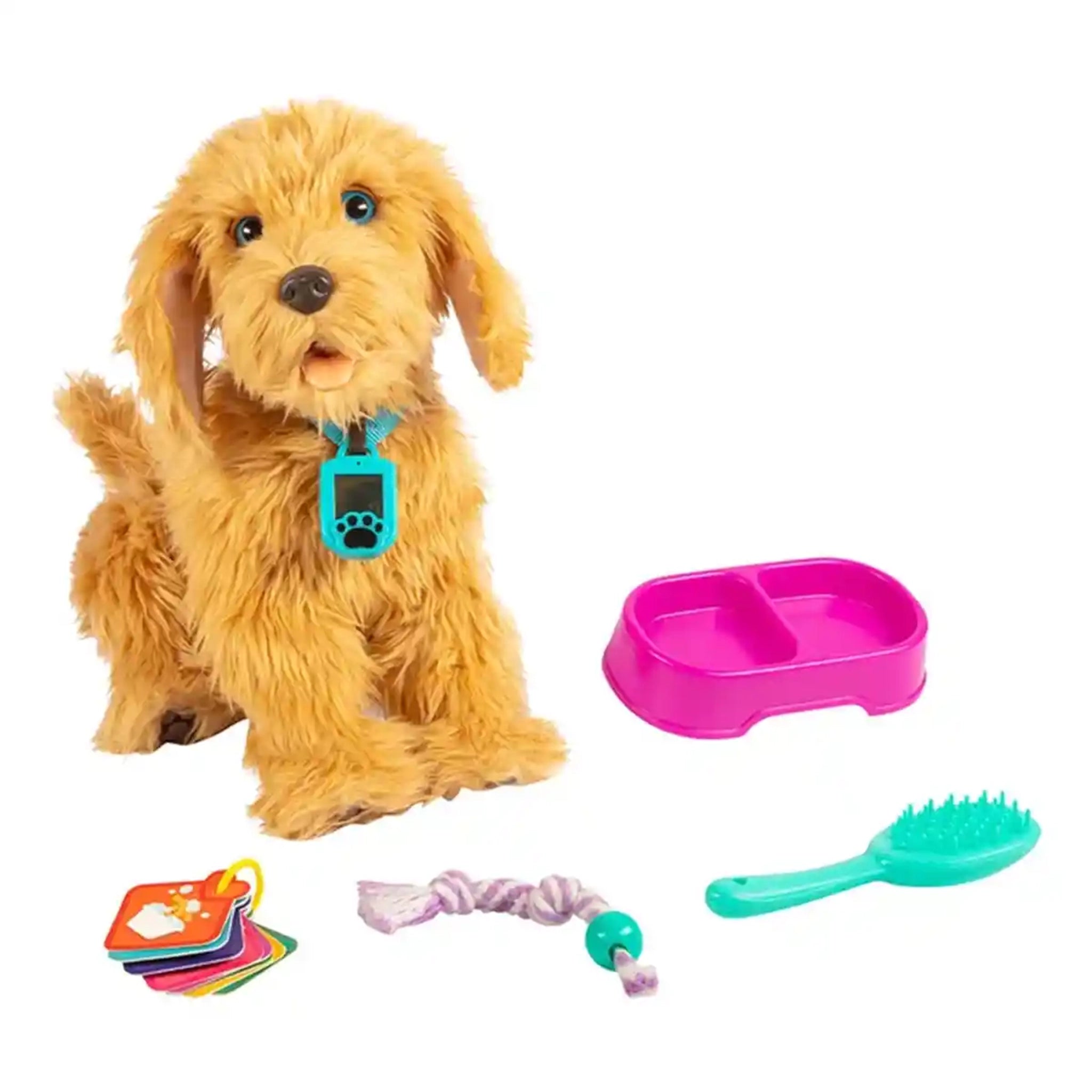 Moji The Lovable Labradoodle