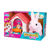 B/O Plush Pet Rabbit With Accessories 3yrs+ MC-1003