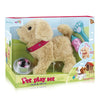 Golden Retriever Magnetic Control Suit 3yrs+