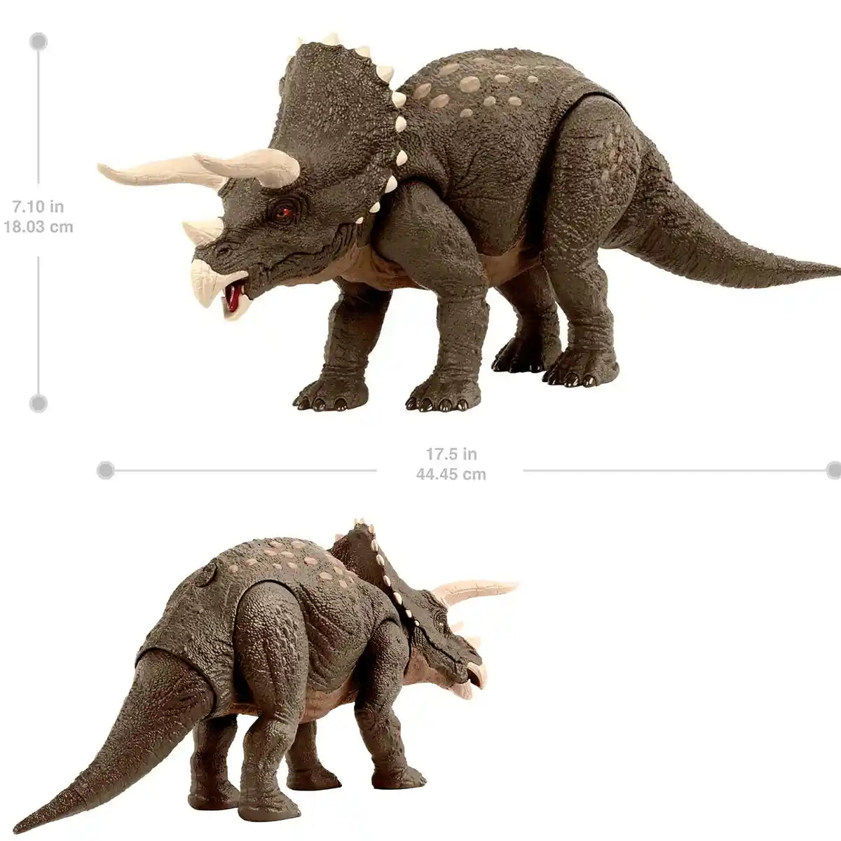 JW Sustainable Triceratops