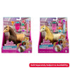 Barbie Pony & Piece Count Asst