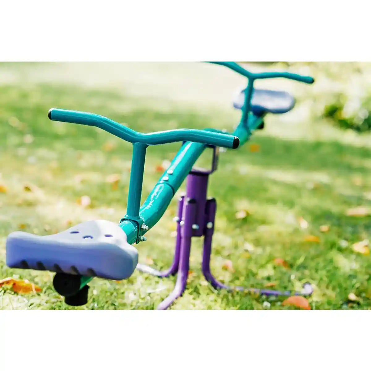 Plum Rotating See Saw - Purple/Teal