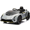 Licensed Lamborghini Autentica_Gray
