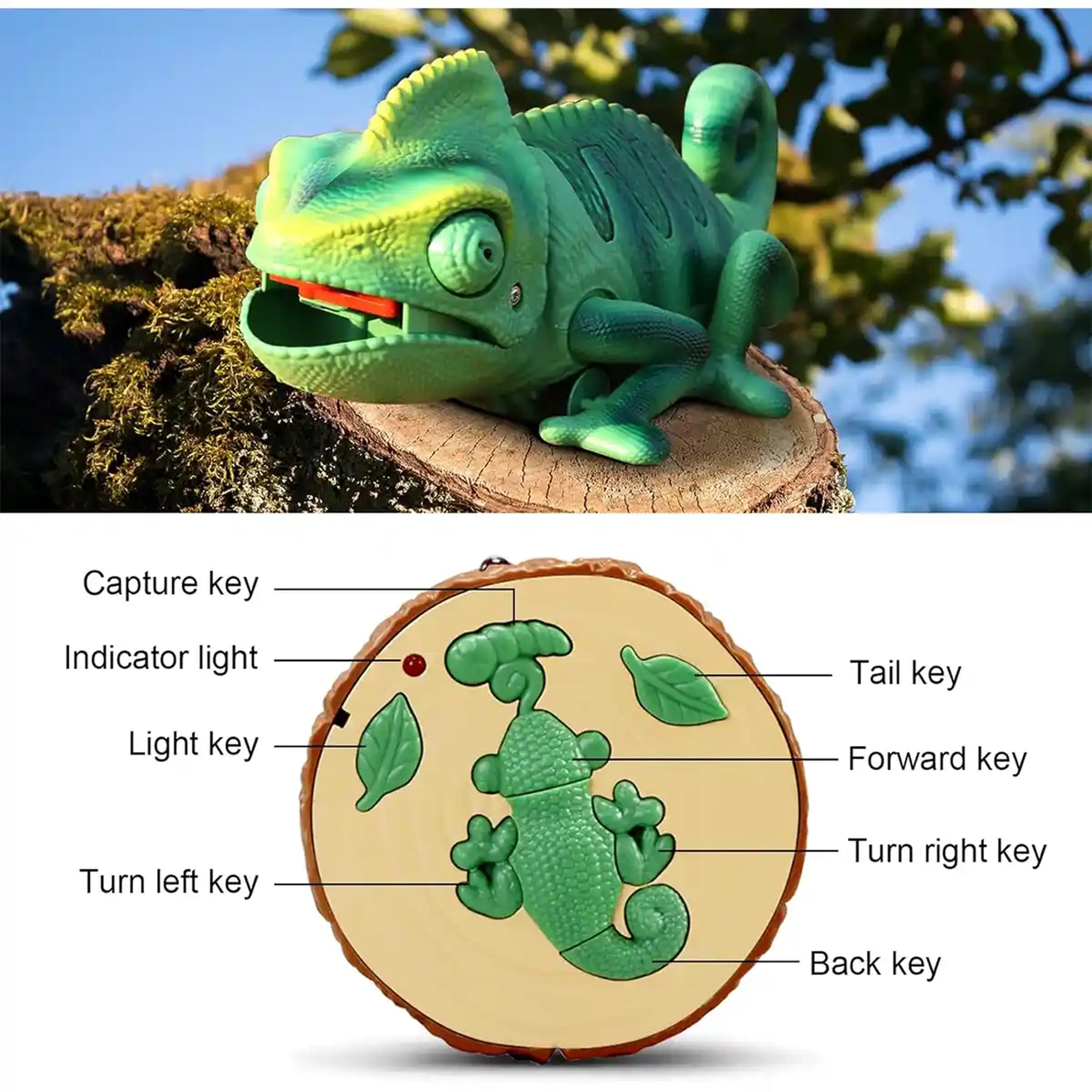 Remote control chameleon (not powered)