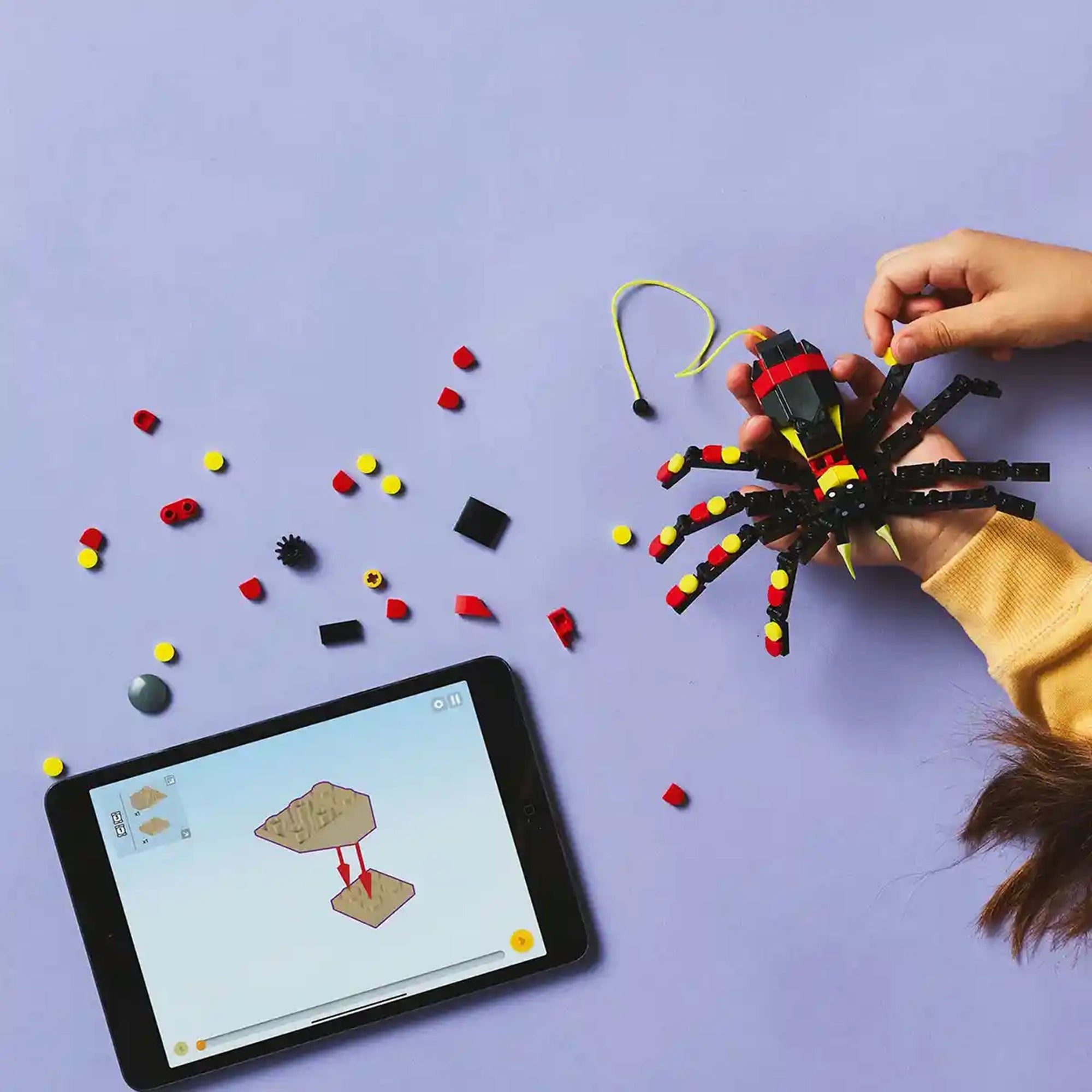 LEGO-Creator31159 Wild Animals: Surprising Spi.. V29