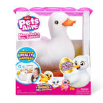 Mama Duck & Baby Surprise-S1