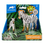 2 pcs zebra in open touch box
