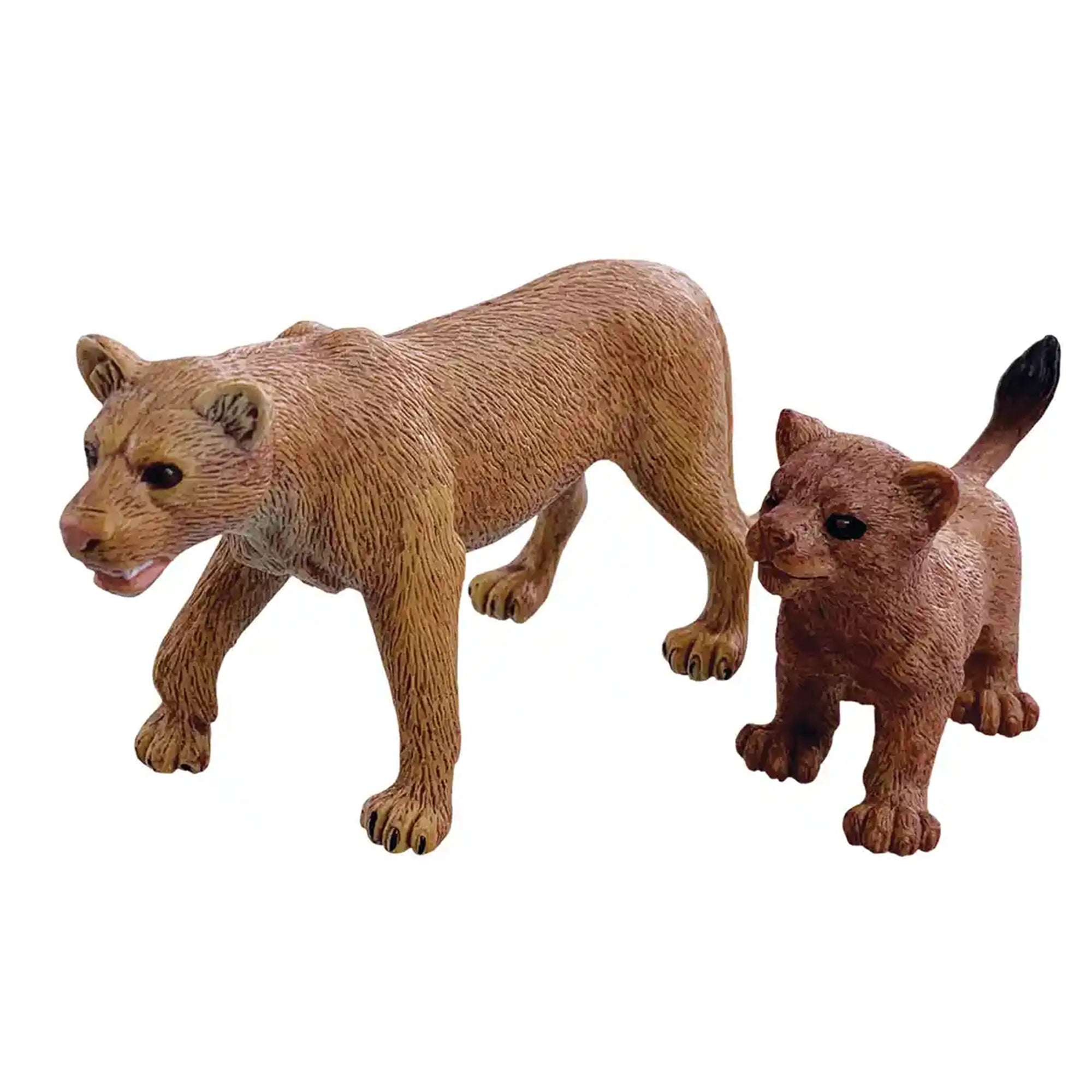 2 pcs Lioness in open touch box