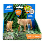 2 pcs Lioness in open touch box