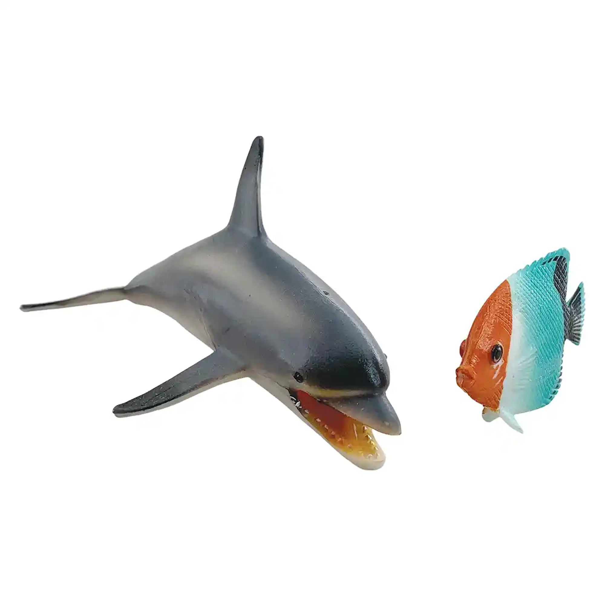 2 pcs Dolphin and Fish in open touch box