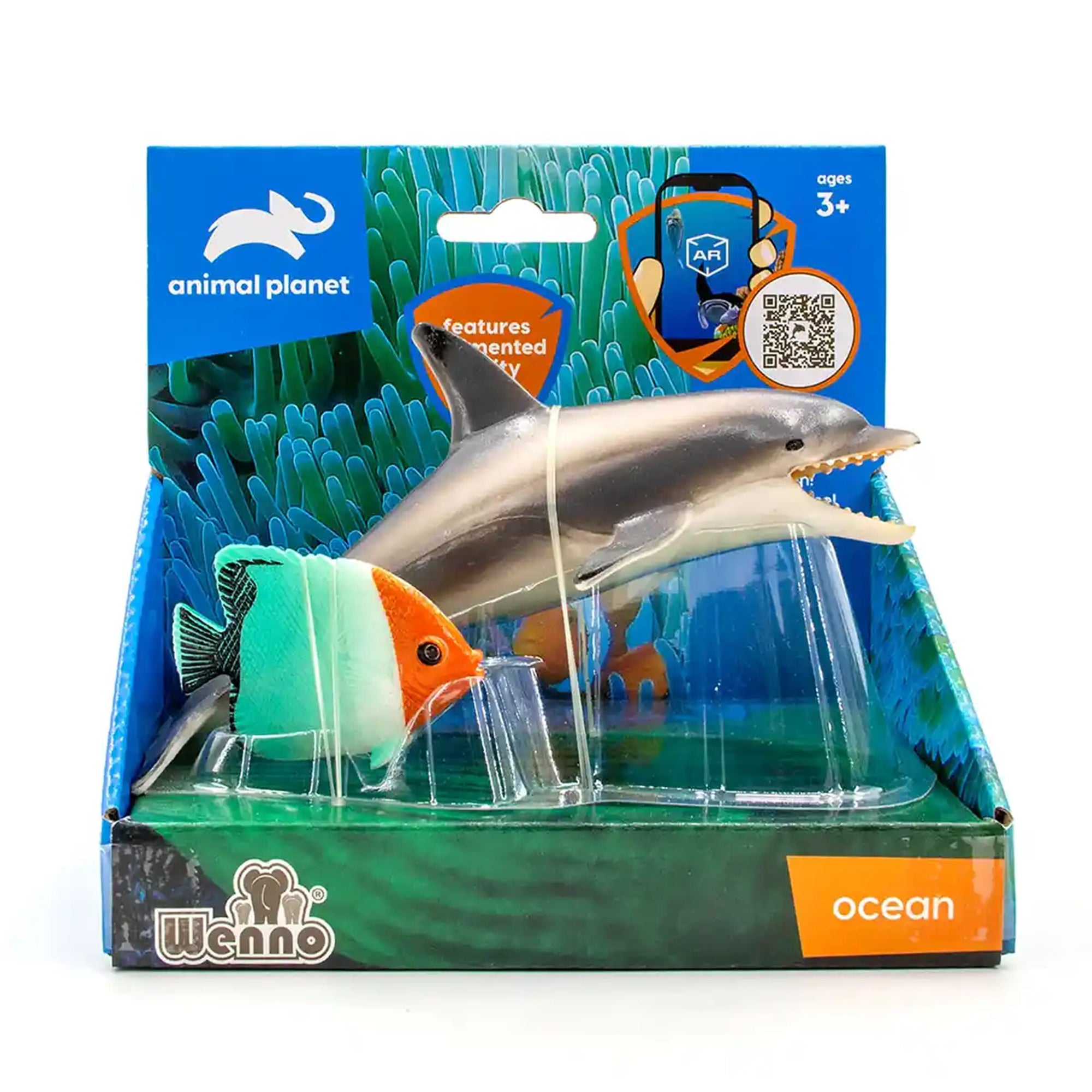 2 pcs Dolphin and Fish in open touch box