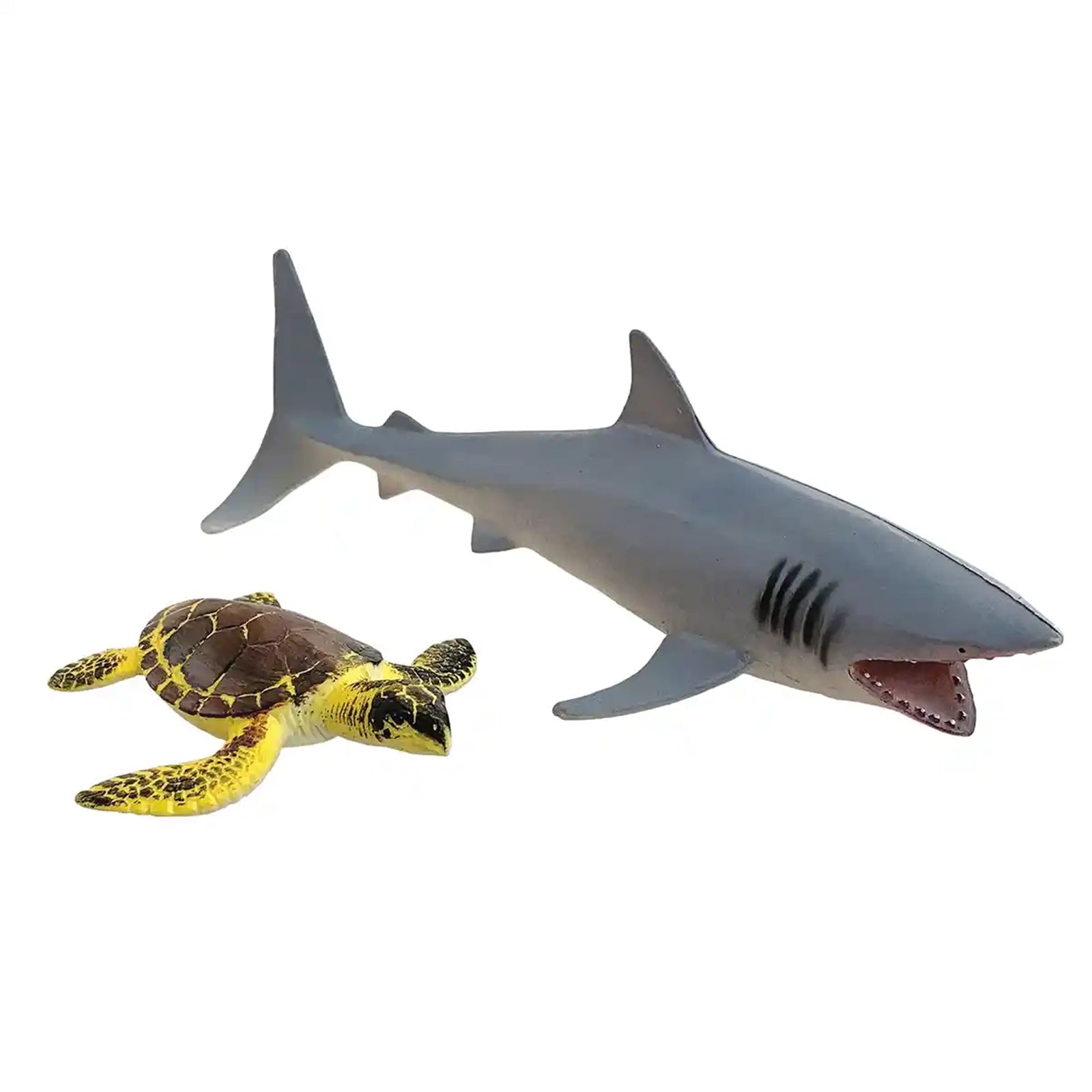 2 pcs shark and turtle in open touch box