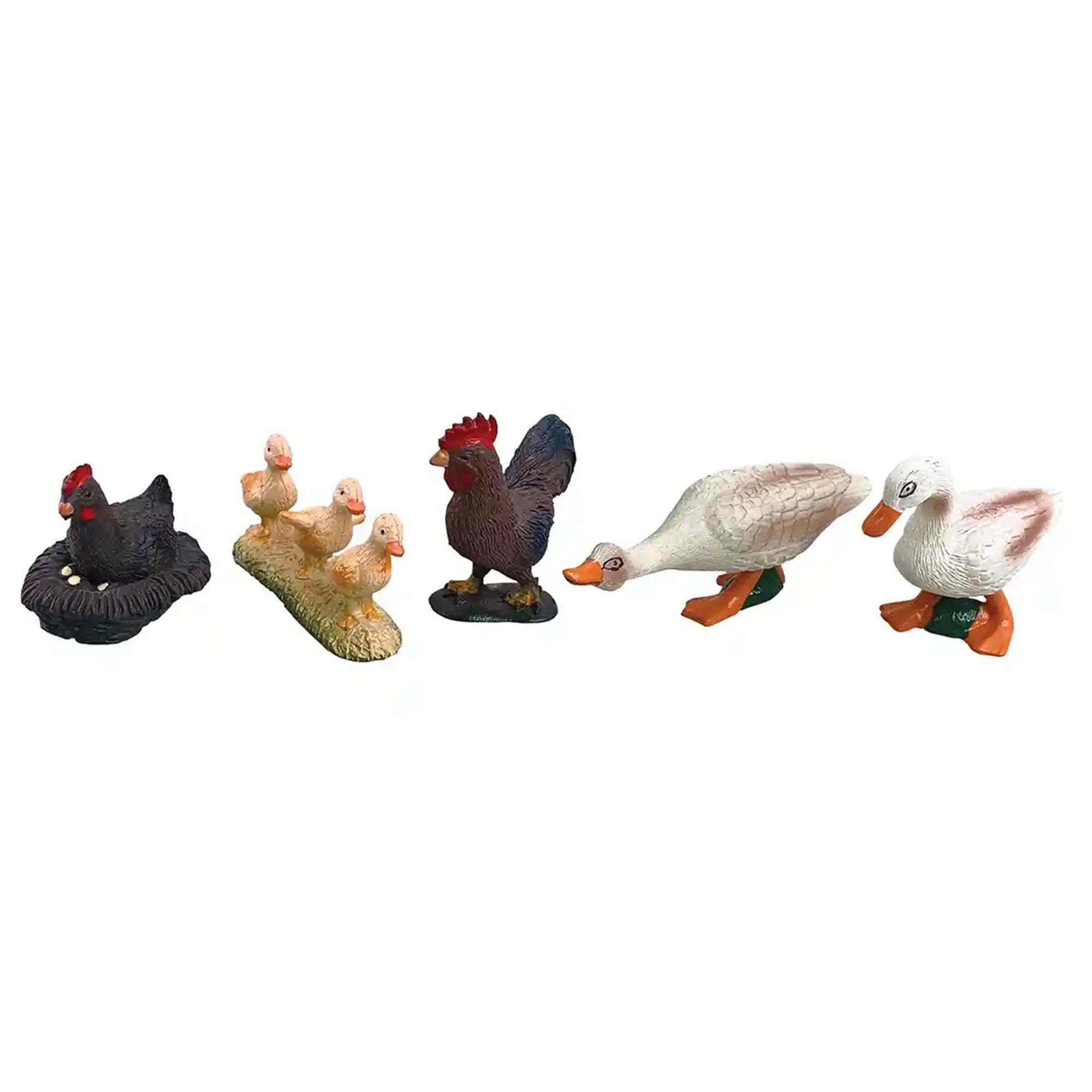 5 pcs chickens and ducks in open touch box