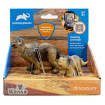 2 pcs Triceratops in open touch box