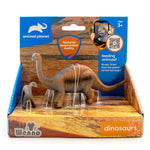 2 pcs Diplodocus in open touch box