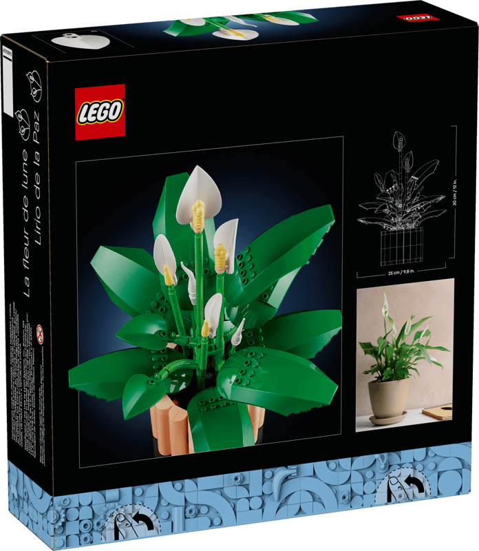 LEGO Botanicals 11504 Botanicals 11504  18+