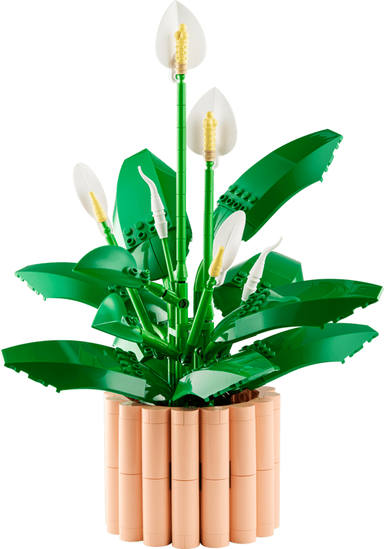 LEGO Botanicals 11504 Botanicals 11504  18+