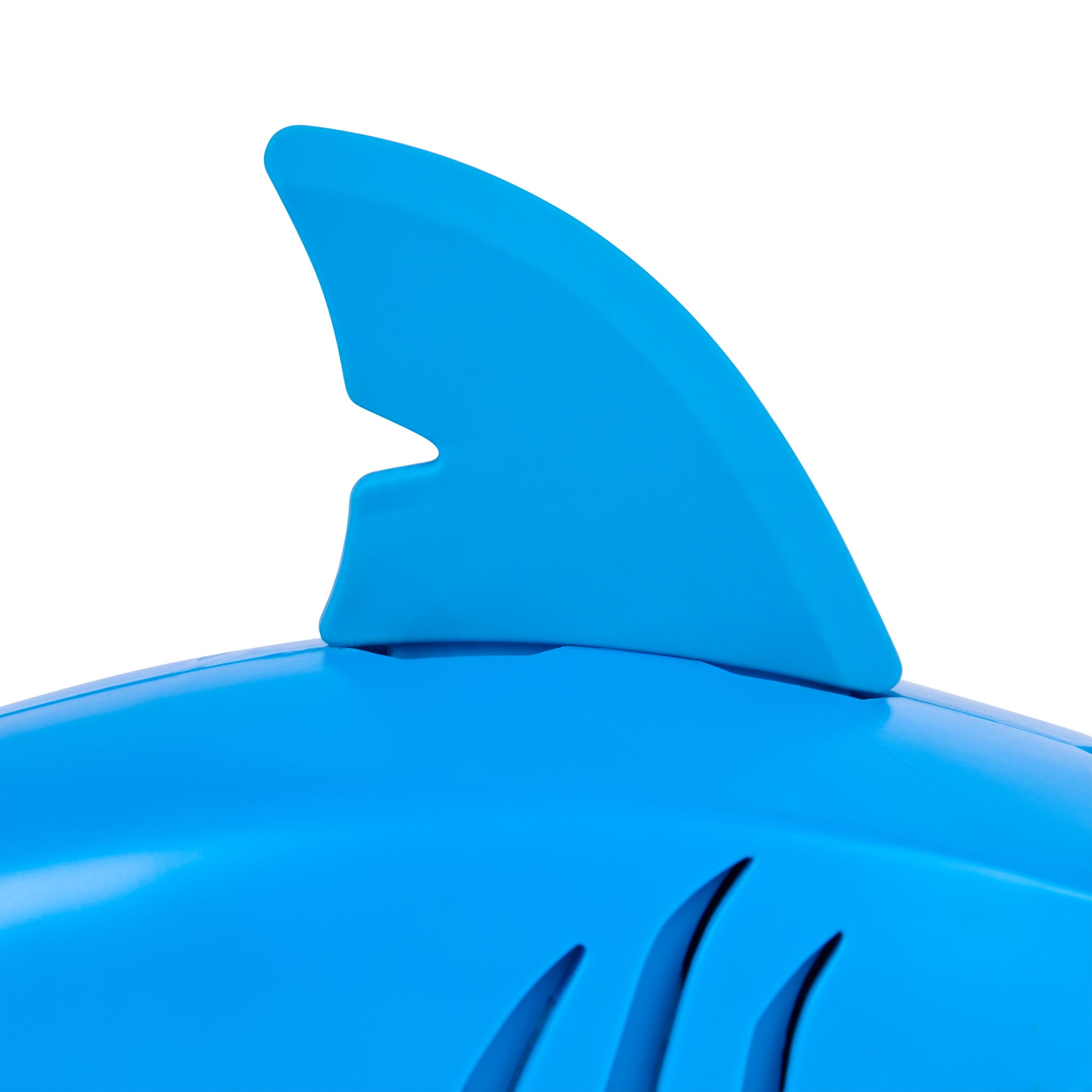 SW Rainbow Reef Shark Finn Diesel