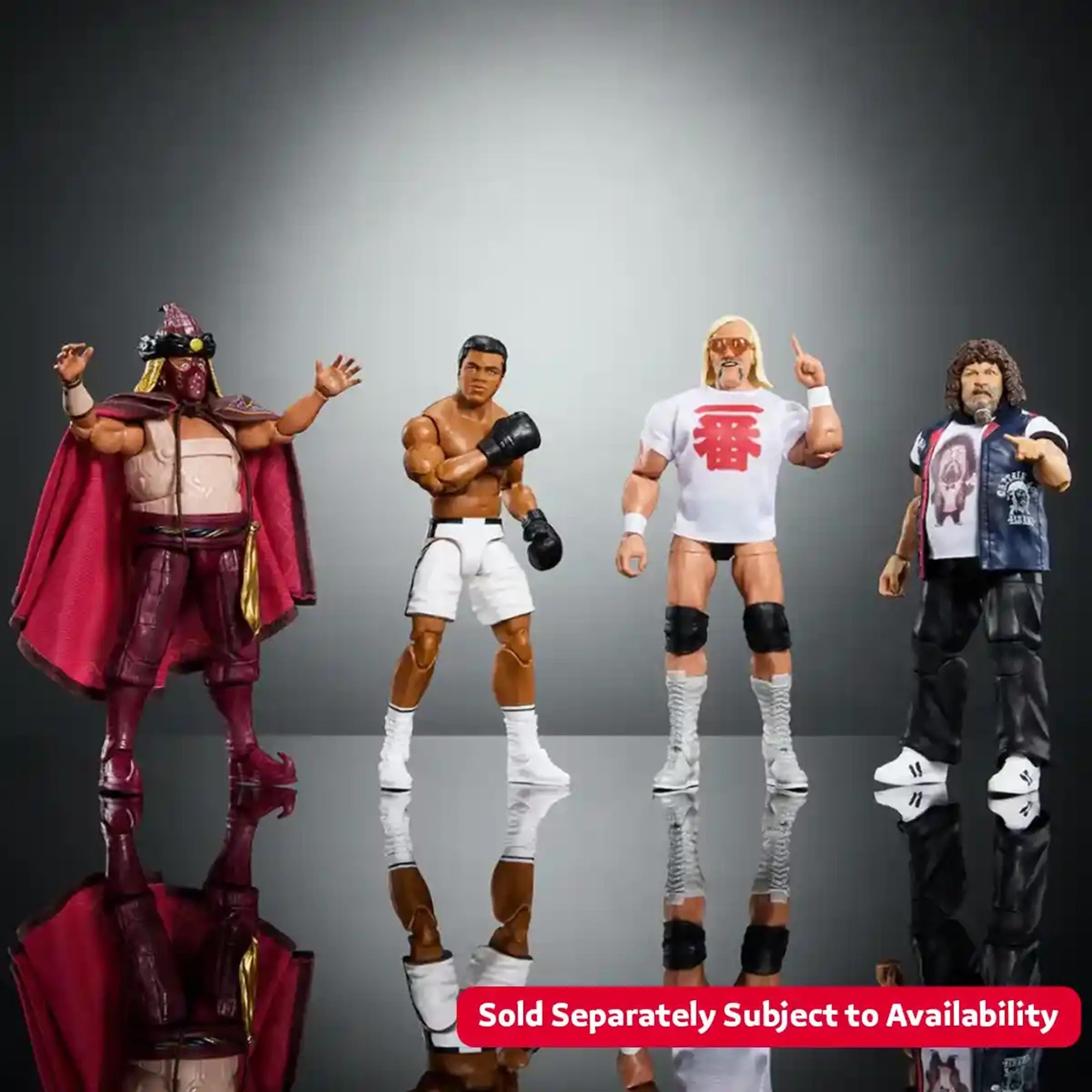 WWE Legends Series 22-19A