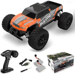 2.4G 1:14 HIGH SPEED R/C CAR  8YRS+ ; 25KM/H