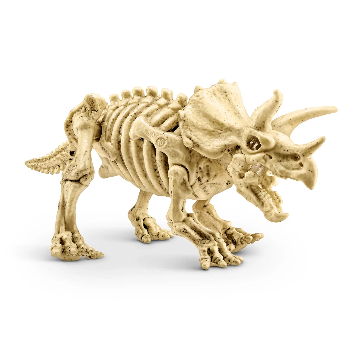 S001-ROBO ALIVE-DINO FOSSIL FIND-AMBER ADVENTURE