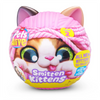 S001-PETS ALIVE-SMITTEN KITTENS