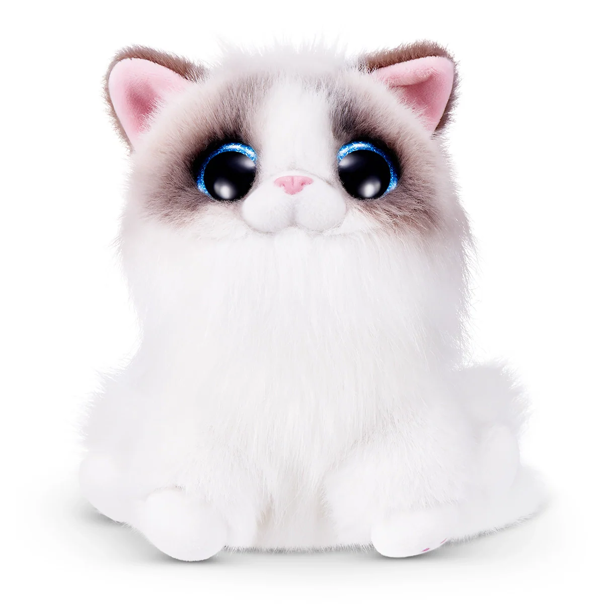 S001-PETS ALIVE-SMITTEN KITTENS